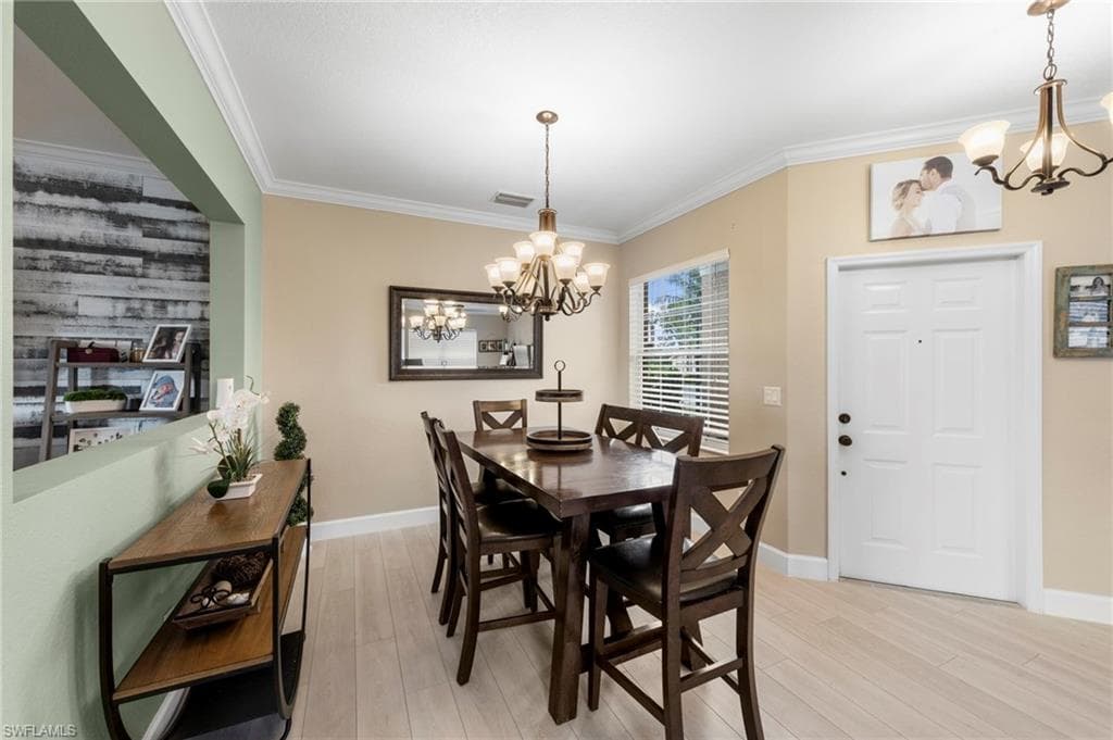 11114 Peace Lilly WAY-9