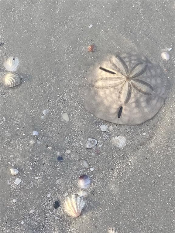 4137 Bay Beach LN # 585, FORT MYERS BEACH FL 33931-42