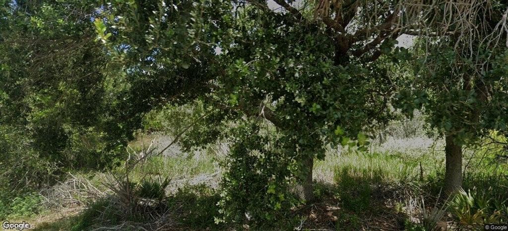 927 Grafton ST, LEHIGH ACRES FL 33974-1