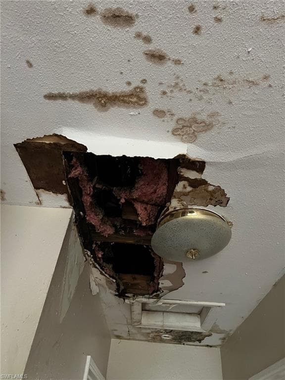 4421 Leila AVE, TAMPA FL 33616-17