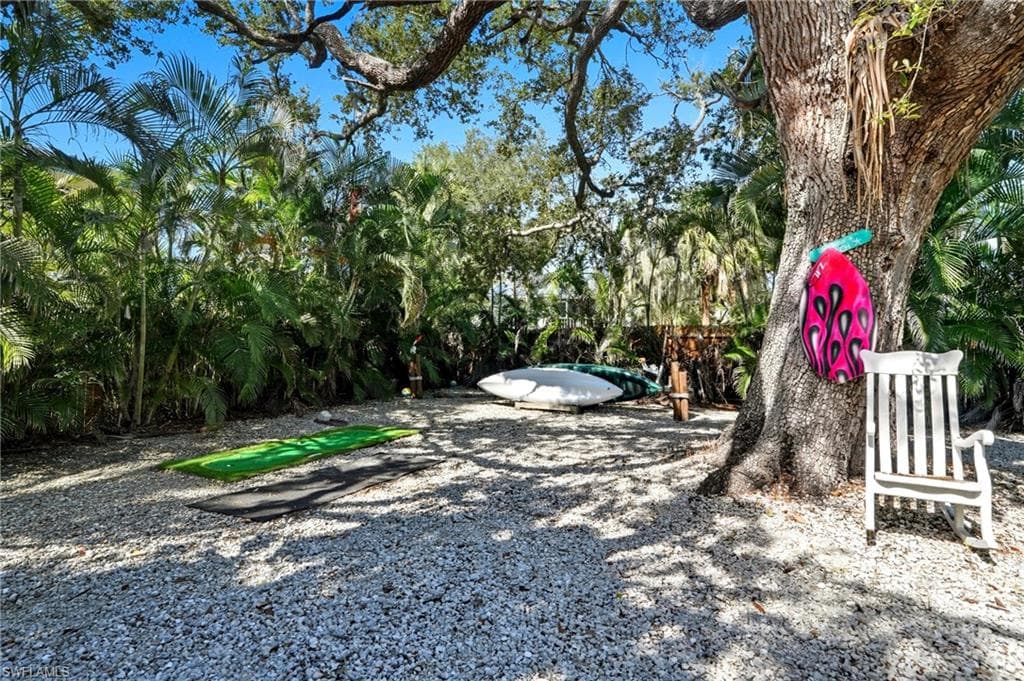 167 Coconut DR-19