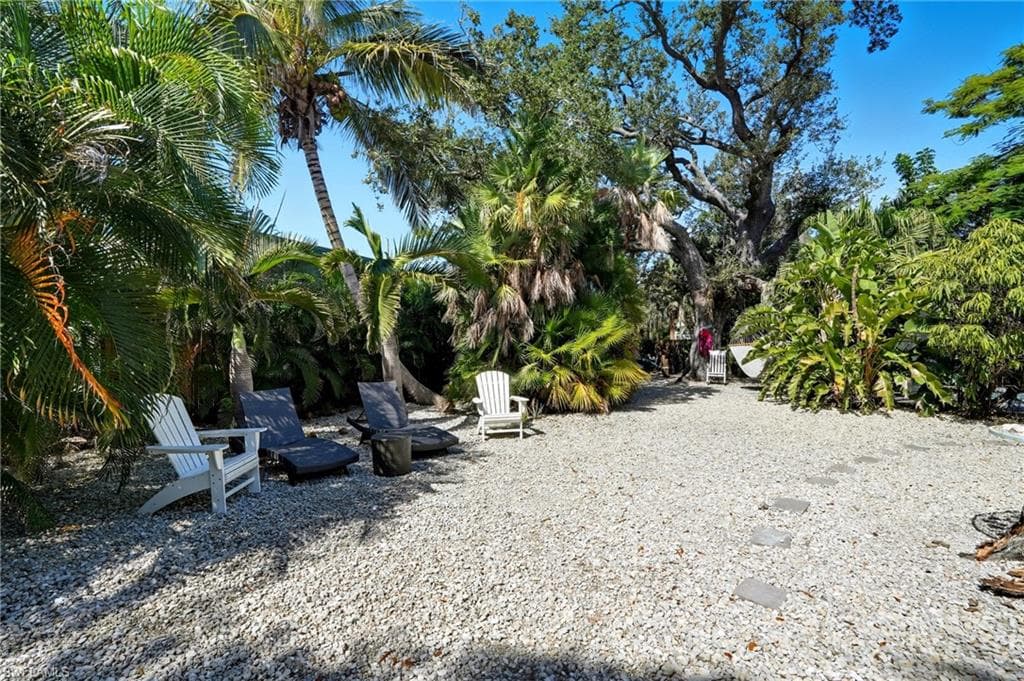 167 Coconut DR-28