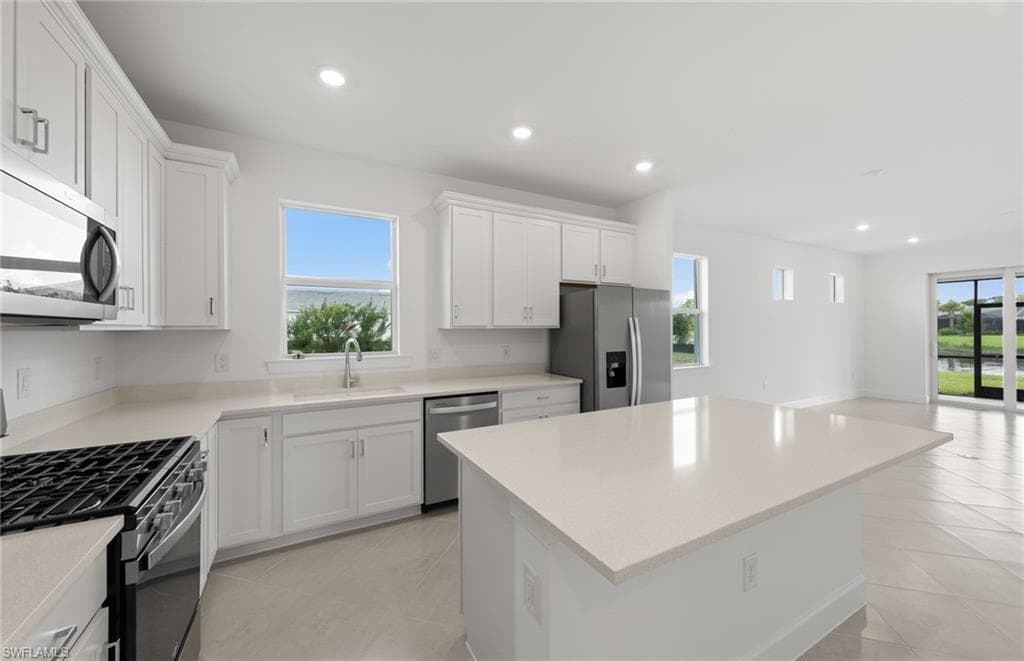 17830 Beautybush TER, NORTH FORT MYERS FL 33917-5