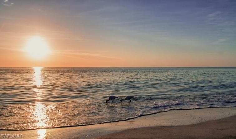 7818 Great Heron WAY # 303, NAPLES FL 34104-4