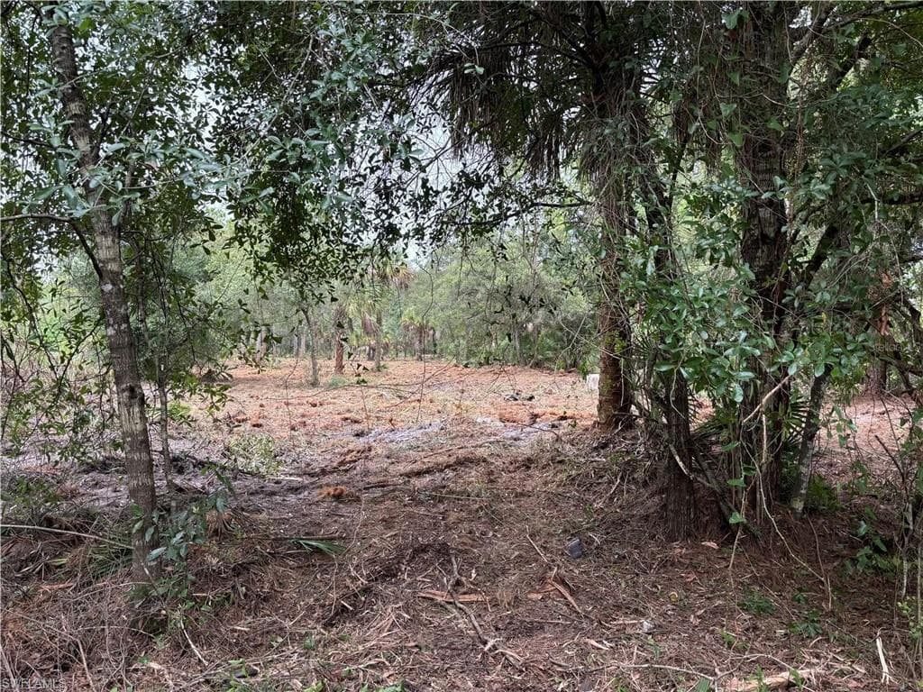 701 Tampa AVE, OTHER FL 33440-1