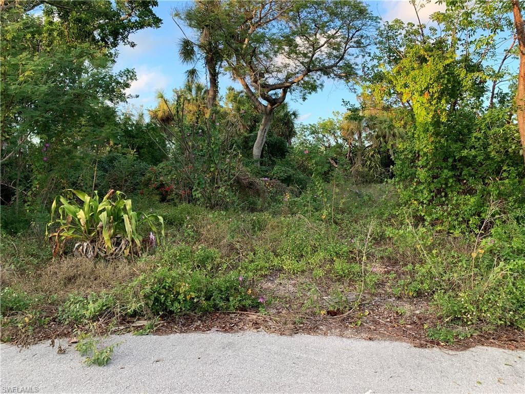 2090 Wild Lime DR-1