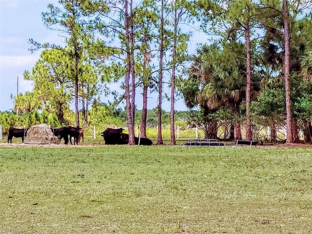 1001 Homestead AVE, CLEWISTON FL 33440-10