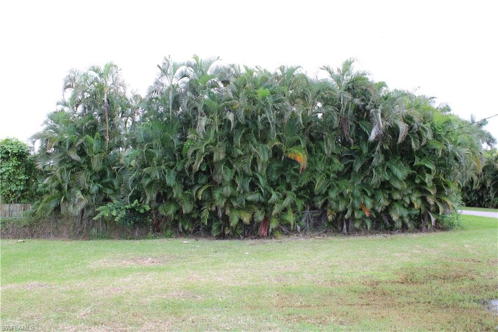 6 Spoonbill AVE, EVERGLADES CITY FL 34139-10