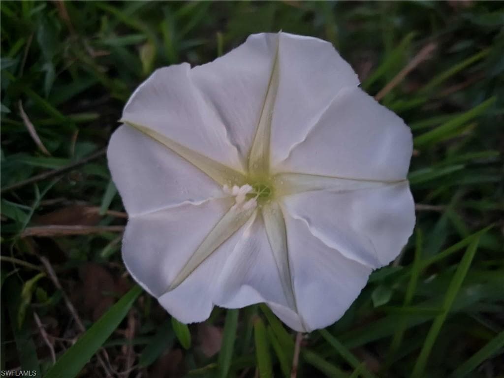 3570 Williamson RD, FORT MYERS FL 33905-9