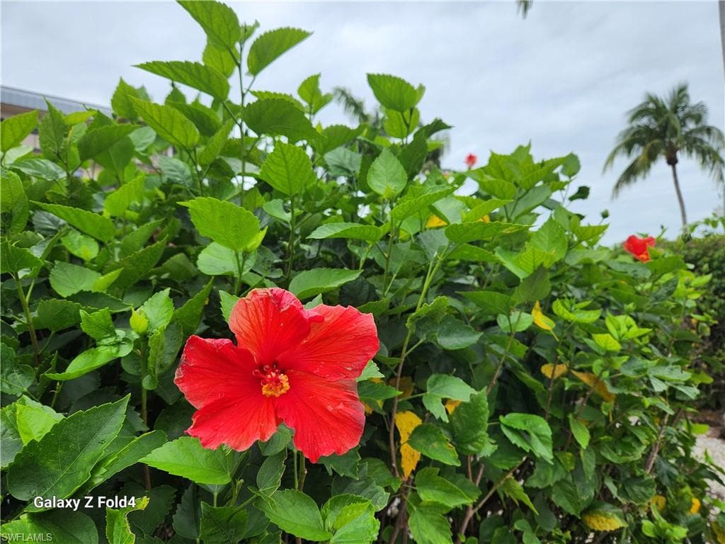 805 RIVER POINT DR # 307, NAPLES FL 34102-26