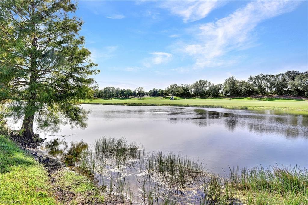 9261 Triana TER # 133, FORT MYERS FL 33912-34