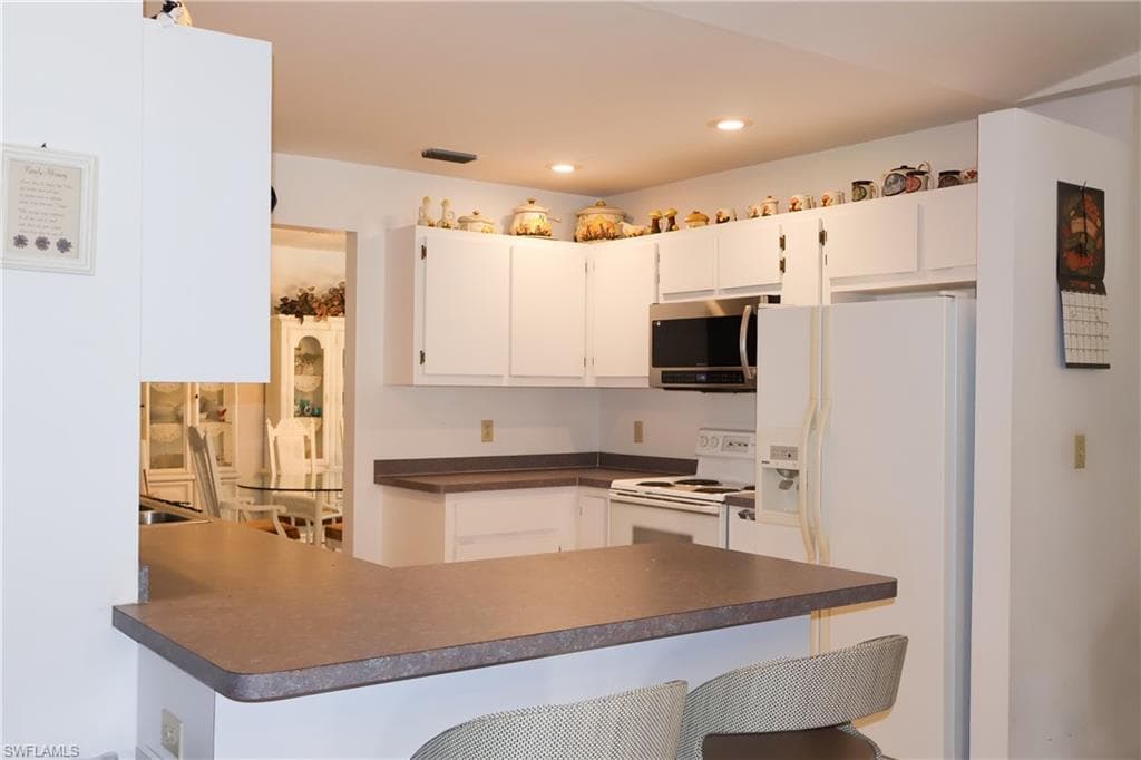 18122 Sandy Pines CIR, NORTH FORT MYERS FL 33917-9