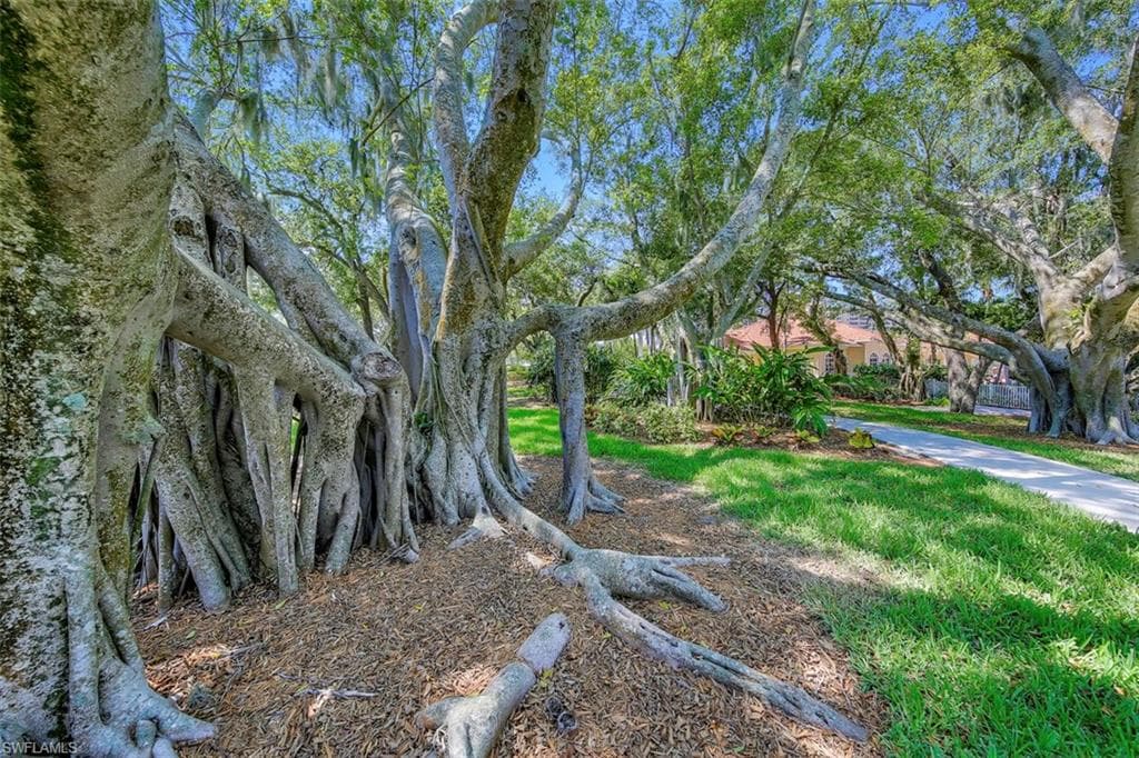 6081 Silver King BLVD # 501, CAPE CORAL FL 33914-47