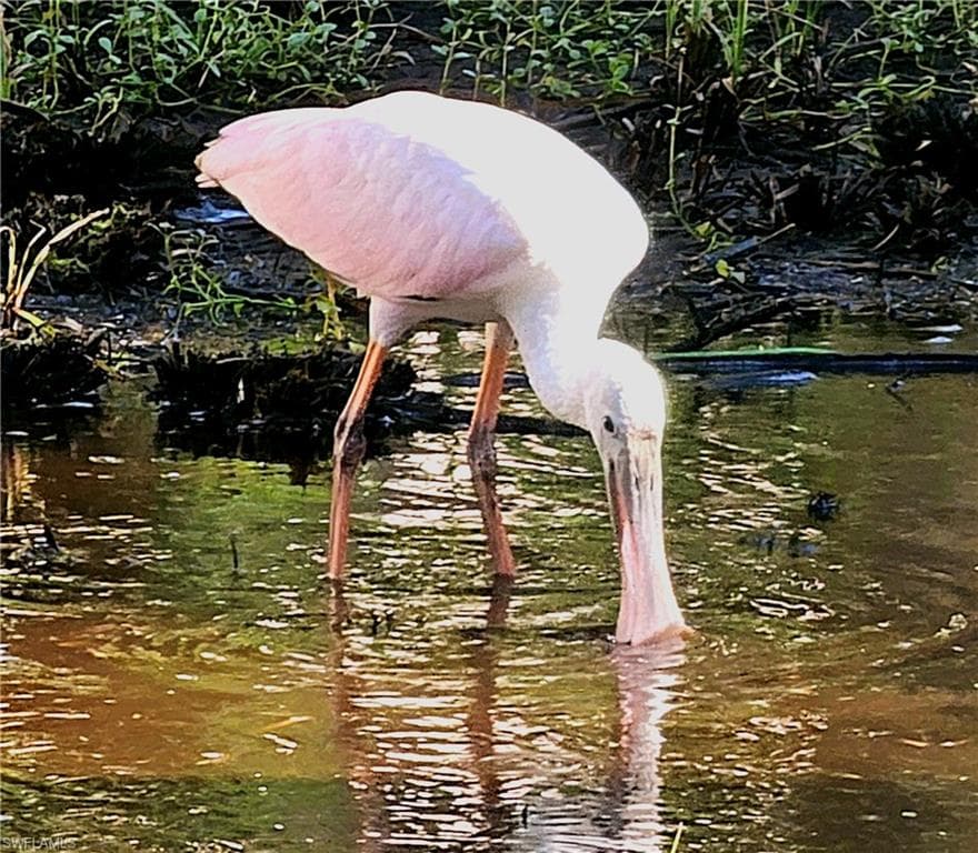 737 Vinca WAY, SANIBEL FL 33957-42