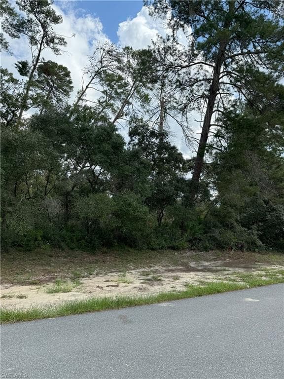 XXX SW 167th LOOP, OCALA FL 34473-6