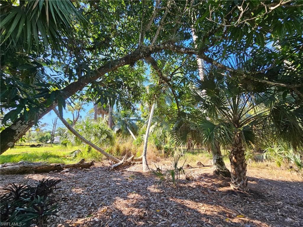 12025 Carpenter LN-36