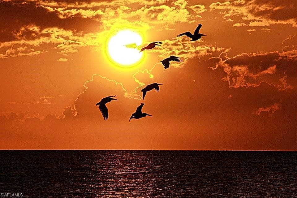 13570 Harbour Ridge DR, FORT MYERS FL 33908-48