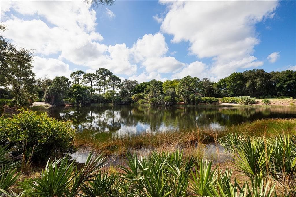 11617 Useppa CT, NAPLES FL 34110-31