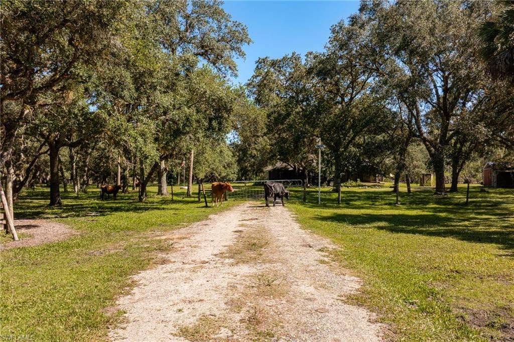 1400 Catamount RD, LABELLE FL 33935-5