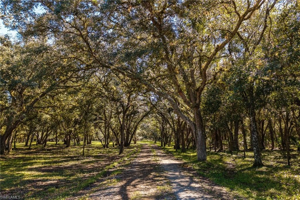 1400 Catamount RD, LABELLE FL 33935-4