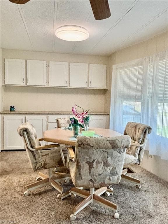 511 Pine Tree CT, NORTH FORT MYERS FL 33917-10