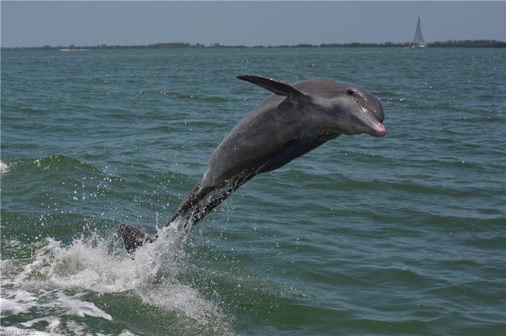 320 Pieces Of Eight, CAPTIVA FL 33924-16