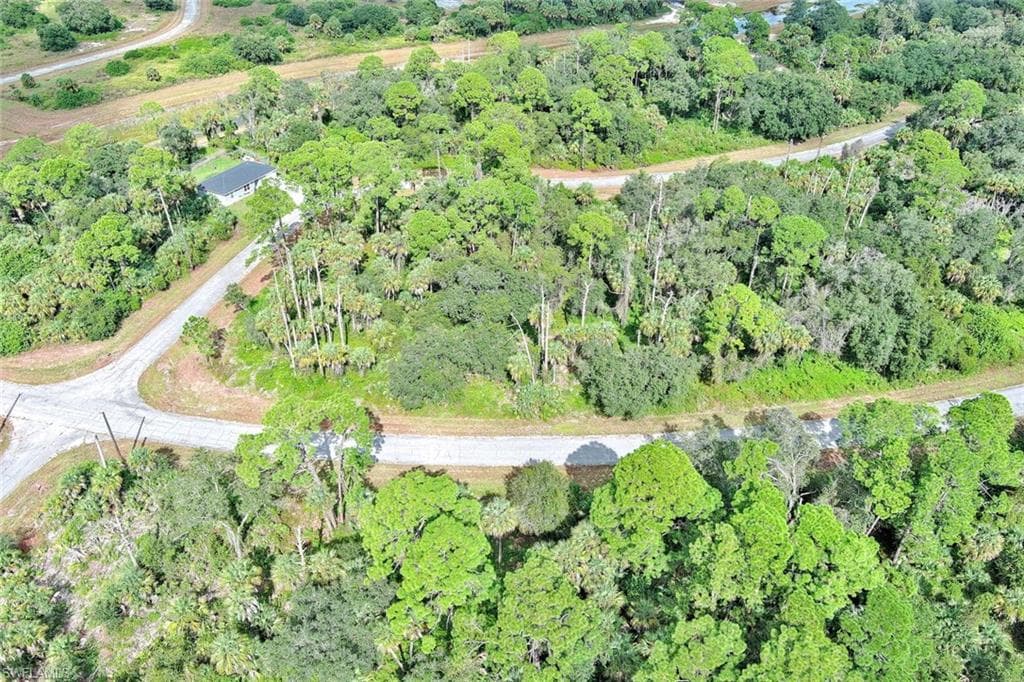 232 Sparkle DR, LABELLE FL 33935-11