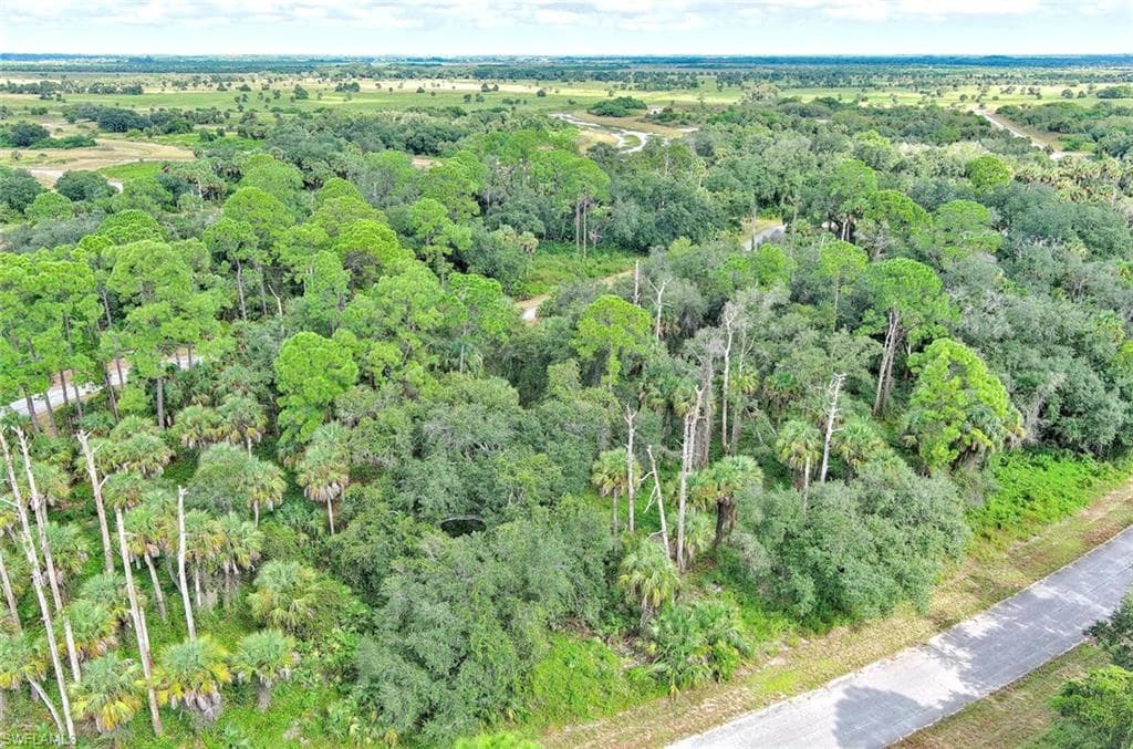 232 Sparkle DR, LABELLE FL 33935-4