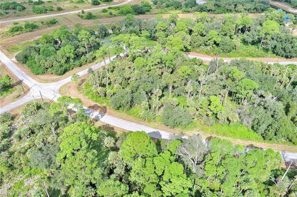 232 Sparkle DR, LABELLE FL 33935-10