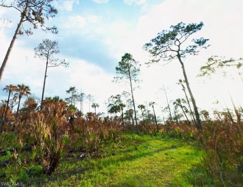 6 SABAL PALM RD, IMMOKALEE FL 34142-5