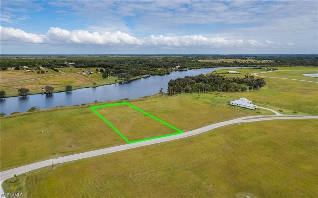 22797 Yellow Button LN-5