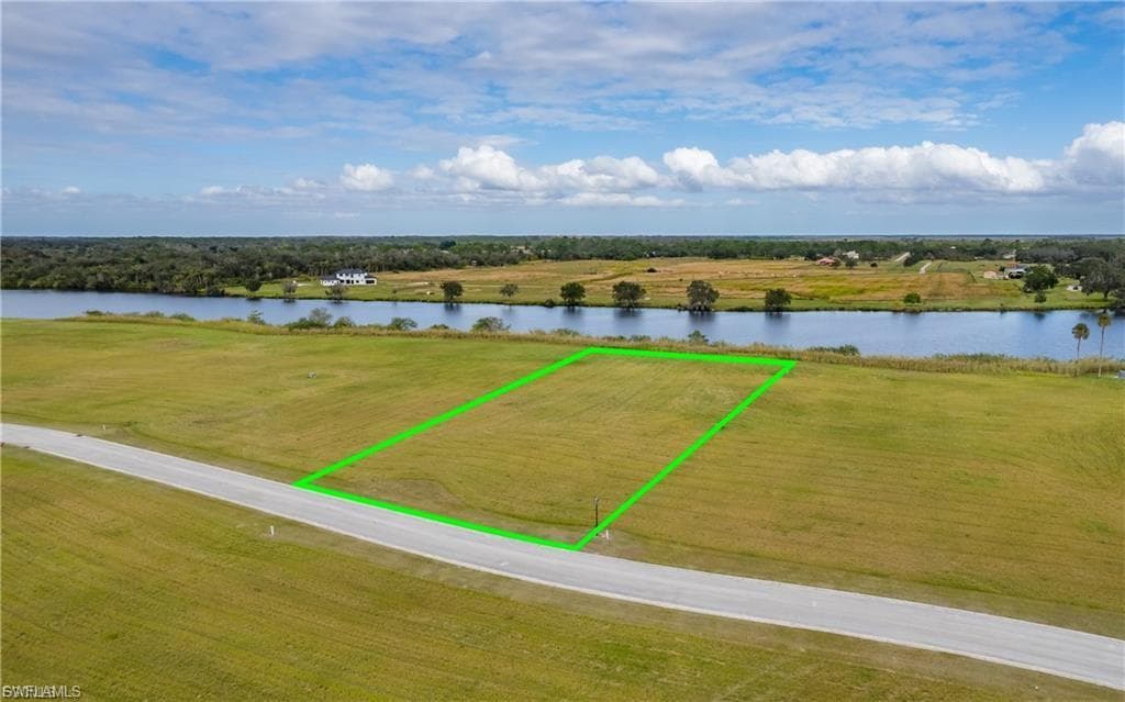 22797 Yellow Button LN-4