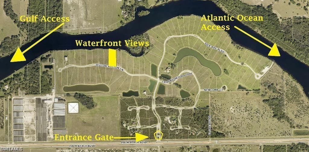 22797 Yellow Button LN-10