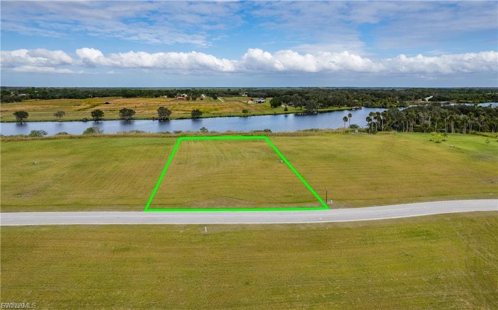 22797 Yellow Button LN-3