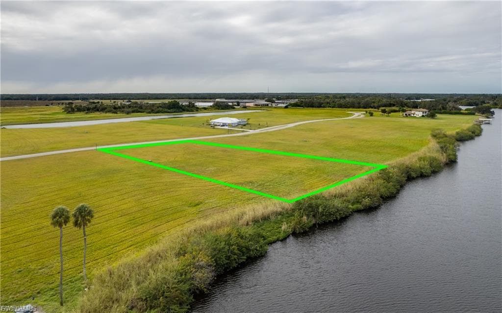 22797 Yellow Button LN-7