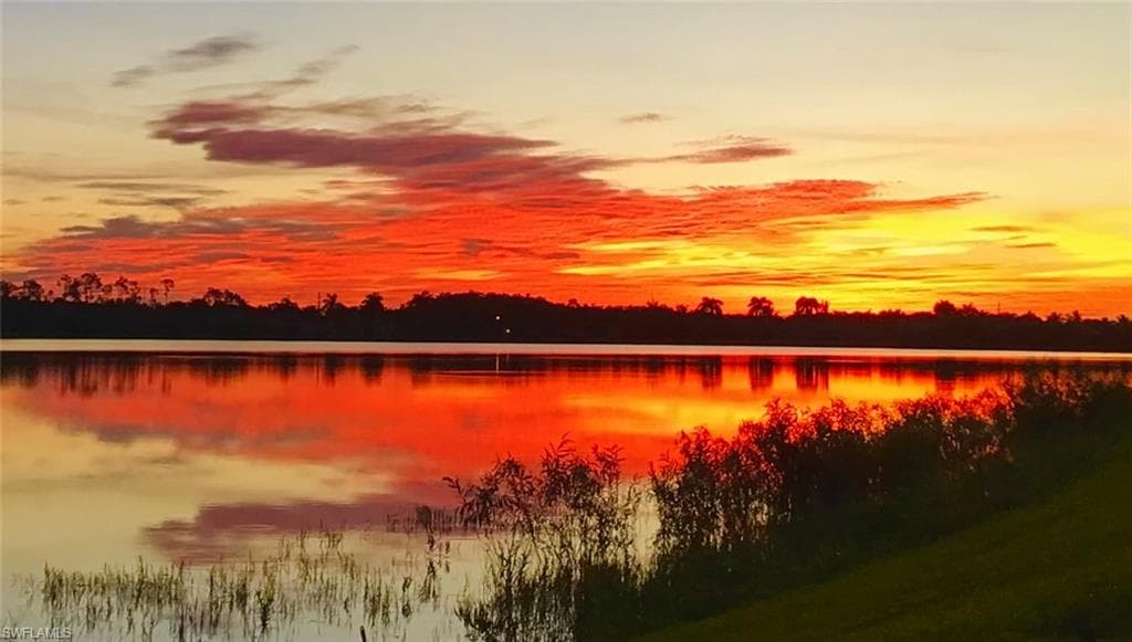 16391 Bonita Landing CIR, BONITA SPRINGS FL 34135-36