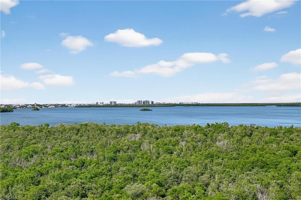 4811 Island Pond CT # 604, BONITA SPRINGS FL 34134-35