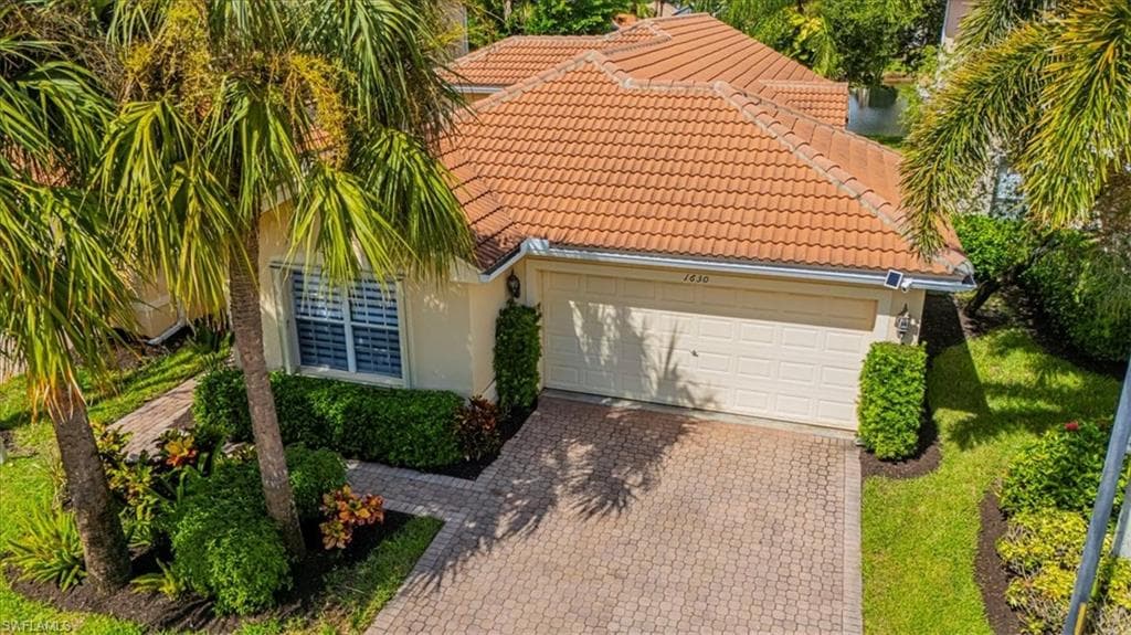 1630 Triangle Palm TER-1