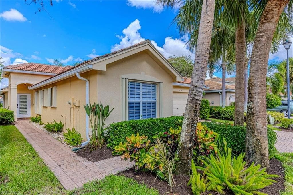 1630 Triangle Palm TER-18