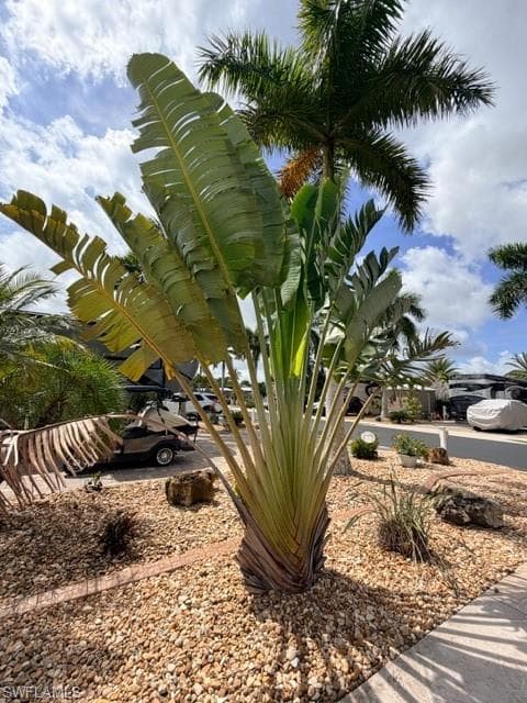 5205 Pineland Daisy TRL, FORT MYERS FL 33905-12