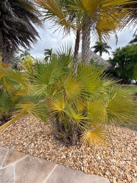 5205 Pineland Daisy TRL, FORT MYERS FL 33905-11