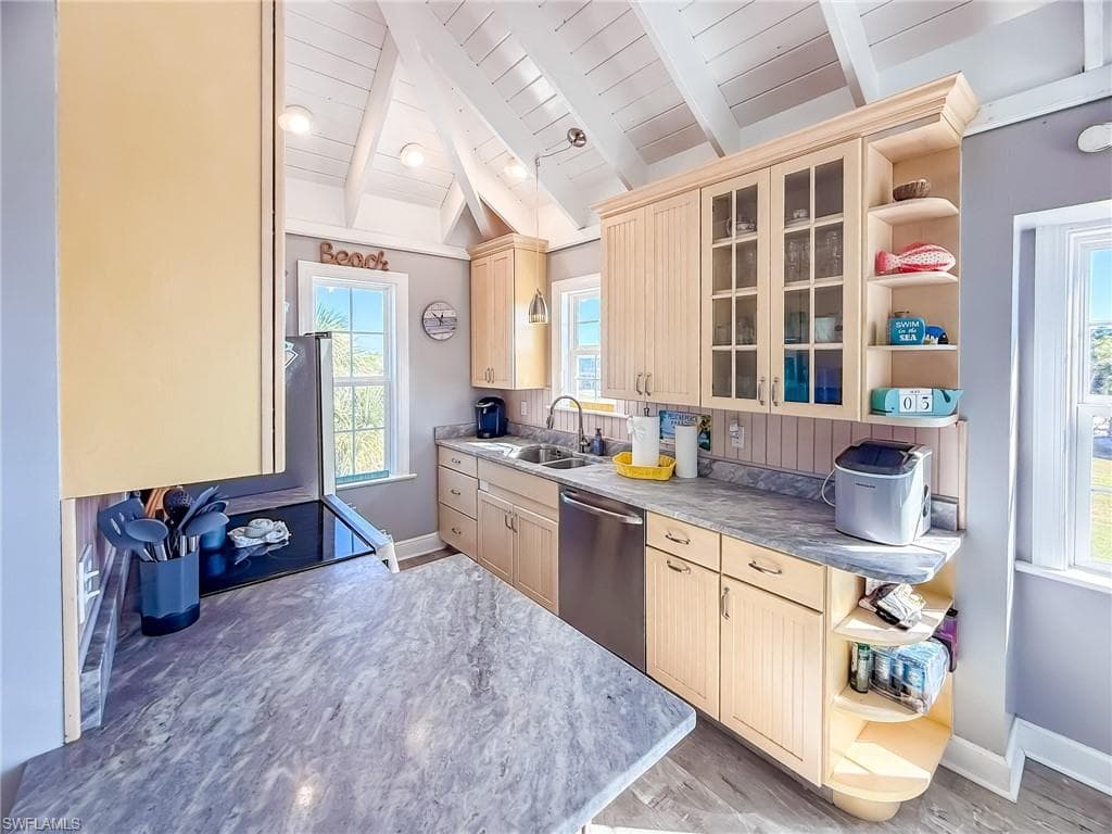 210 White Pelican DR-21