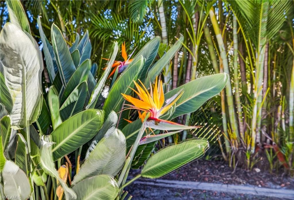 1928 SE 20th LN, CAPE CORAL FL 33990-35