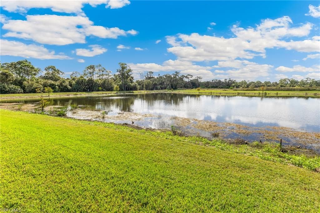 18184 Everson Miles CIR, NORTH FORT MYERS FL 33917-30