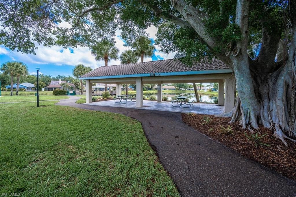 15298 Cricket LN-36