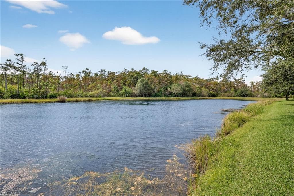 9174 River Otter DR, FORT MYERS FL 33912-29