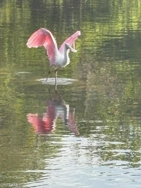 12122 Siesta DR, FORT MYERS BEACH FL 33931-40