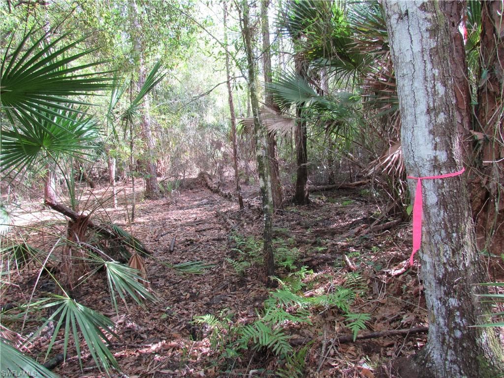 1130 Debbie LN, LABELLE FL 33935-5