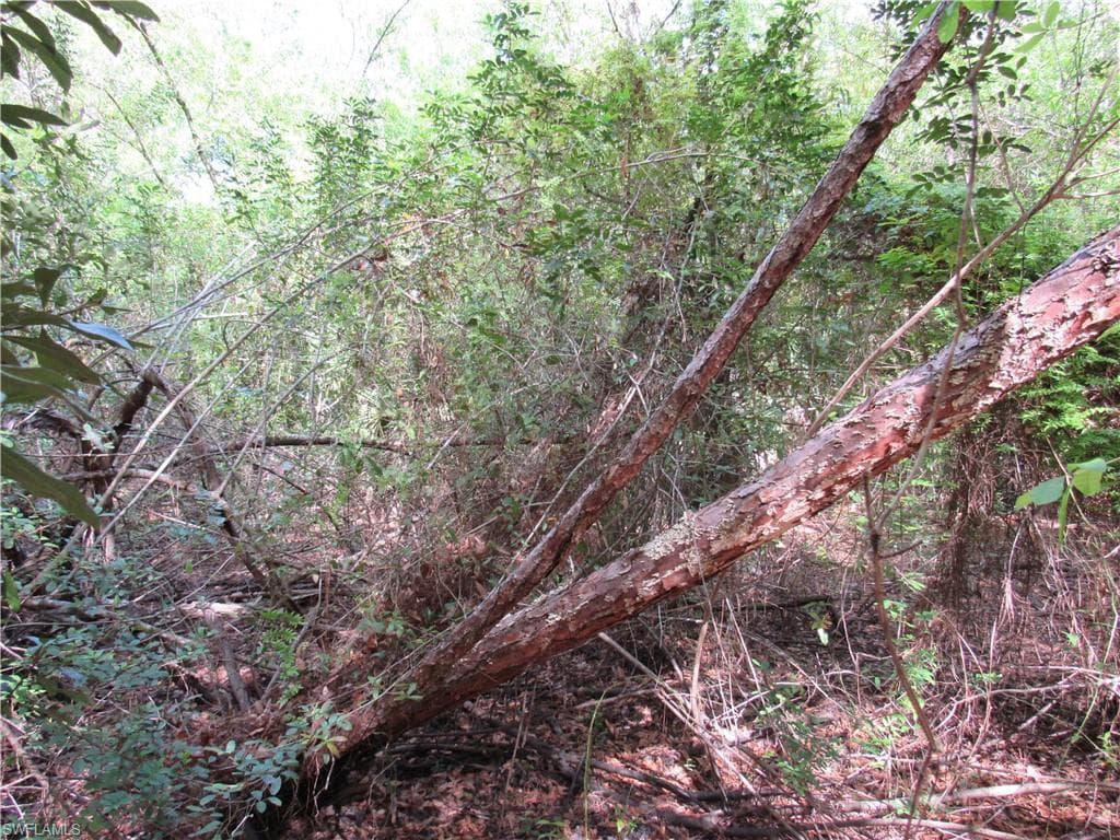 1130 Debbie LN, LABELLE FL 33935-2