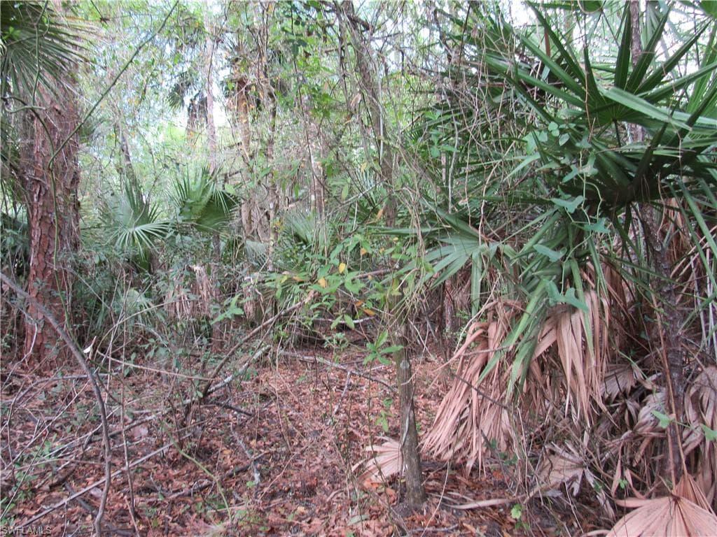1130 Debbie LN, LABELLE FL 33935-4